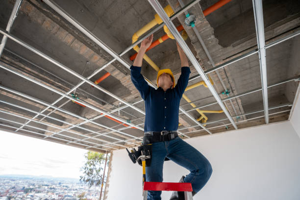 Best Plumbing Services Near Me  in Hometown, IL