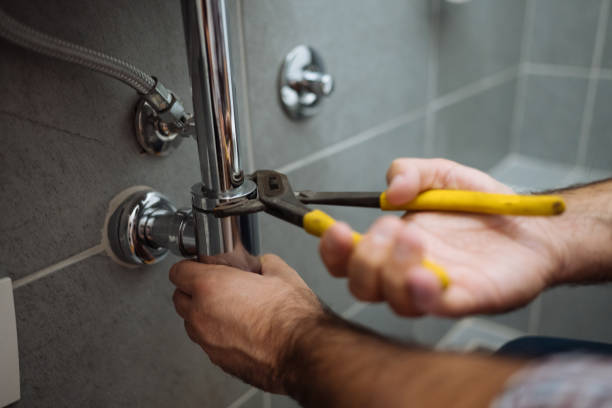 Best Plumbing Services Near Me  in Hometown, IL