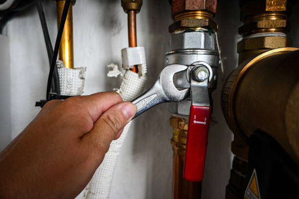 Best Clogged Drain Plumber  in Hometown, IL